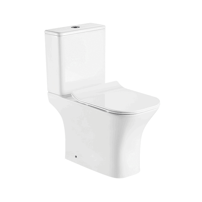 CE Approved Washdown Two Piece Toilet Square Bowl - Professional