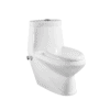 Dual Flush One Piece Toilet With or Without Bidet Spray Set