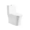 Easy Cleaning Modern Toilet With Dual Flush And PP Seat Cover