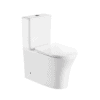 Washdown Two Piece Toilet With Soft Closing PP Seat Cover