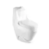 Washdown Vitreous China One Piece Toilet P Trap